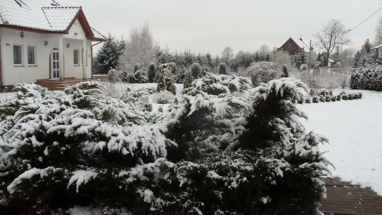 Agroturystyka 'Milena' Ostropole Exterior photo